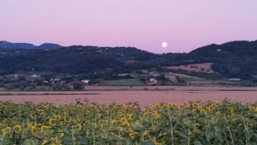 פיינצה Agriturismo Torrenieri Da Alessandro מראה חיצוני תמונה